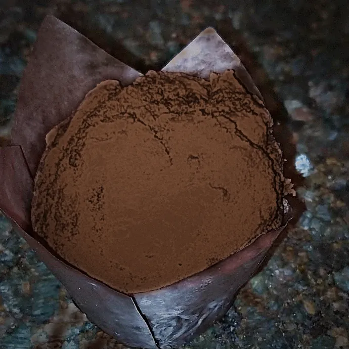 A Willow Bakery chocolate muffin in a tulip case